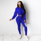 Stylish solid color long-sleeved two-piece tracksuit DAL-8191