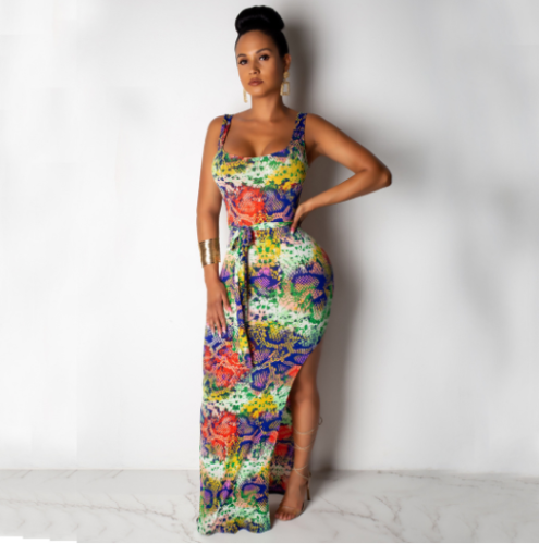 Hot style colorful serpentine print split backless dress DAL-8143
