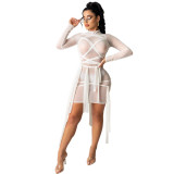 European and American women's sexy mesh dress (without underwear)