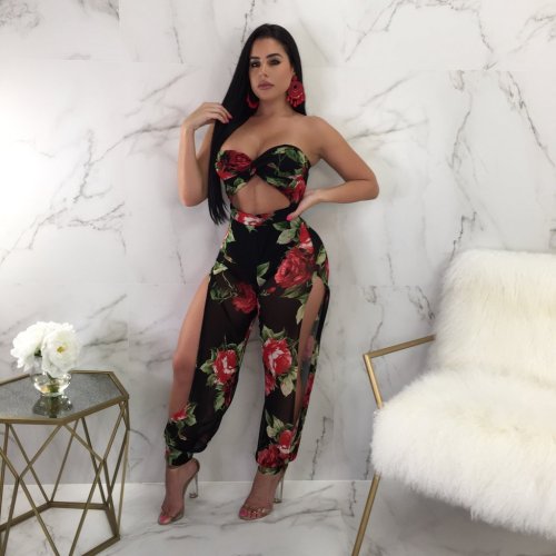 Sexy printed tube top, trouser leg side slit jumpsuit