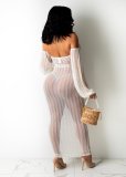 Mesh see-through one-shoulder lace dress