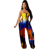 Elastic tube top casual printed jumpsuit