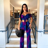 Fashion sexy big size beach style European and American two-piece suit