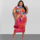 Plus size women's clothing  printed fashion dress