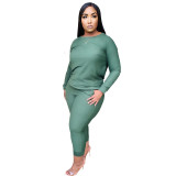 Women's solid color round neck thick knitted casual suit bottoming shirt