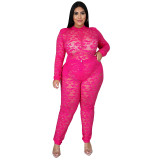 Plus size women's trousers see-through lace two-piece sexy nightclub suit