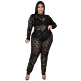 Plus size women's trousers see-through lace two-piece sexy nightclub suit
