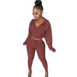 Autumn and winter women's zipper hooded drawstring sweater sports cotton blended two-piece suit
