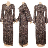 Autumn sexy casual leopard print V-neck ladies long dress nightclub skirt