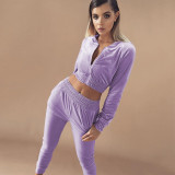 2021 autumn and winter new women's casual velvet cropped zipper top tight pants suit