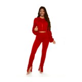 Women's autumn and winter fashion pleated long-sleeved suit casual split trouser leg two-piece suit