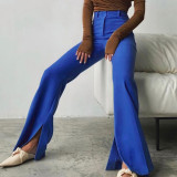 2021 autumn women's wide leg pants slit high waist slim fit temperament commuter design blue casual pants