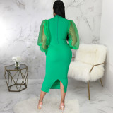 Sexy fashion solid color slim dress