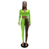 Autumn fashion casual stitching leopard print sexy hooded two-piece suit
