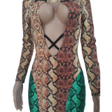Autumn long-sleeved casual snakeskin print dress