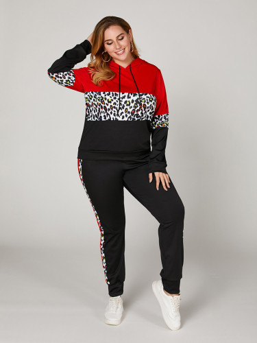 2021 new women's fashion leisure long sleeve autumn suit leopard print two-piece set