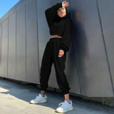 2021 autumn winter women's fleece thickened loose high collar sweater casual pants two-piece set