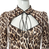 Autumn lace-up v-neck street pullover long-sleeved leopard print dress