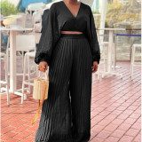 Chiffon pleated straight casual high-waisted wide-leg pants top two-piece