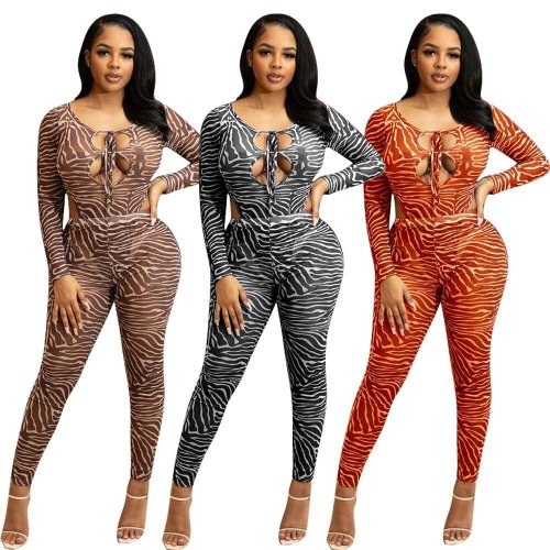 2022 spring and autumn new printing fashion two-piece suit panties mesh two-piece suit
