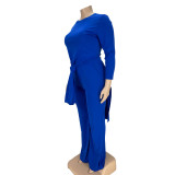 Plus size women's clothing open fork can be strapped straight casual two-piece suit