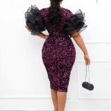 2022 spring / summer velvet Sequin mesh stitched Hip Wrap Dress Skirt