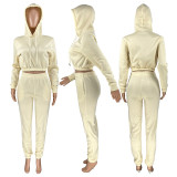 2021 spring / winter Plush sports leisure suit Hoodie + jogging pants two-piece set