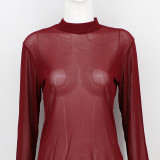 Stretch tight see-through sexy mesh bottoming shirt Transparent long-sleeved T-shirt
