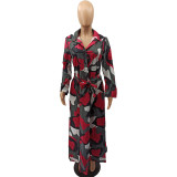Autumn and winter printed casual dress