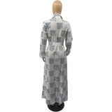 Autumn and winter printed casual dress