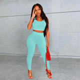 Leisure Sports Solid Color Yoga Two-piece Set