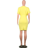 Spring and Autumn Slim Dress OL Professional Dress Women's Skirt