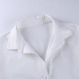 2022 Spring Long Sleeve Lapel Shirt