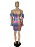 Printed Perspective Mesh Yarn One Shoulder Nightclub Dress