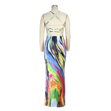 2022 Summer Slim Fit Printed Sling Sexy Backless Long Dress