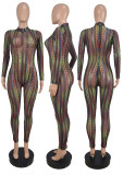 Sexy Long Sleeve Crew Neck Net  yarn Panel Zip Print Jumpsuit