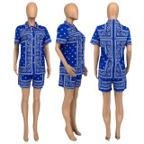 Spring/Summer Short Sleeve Casual Paisley Print Two Piece Set