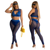 Summer solid color sleeveless vest with see-through net yarn pencil pants two-piece set