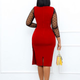 Net  yarn  Panel Slim Fit Hip Slit Dress