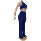 Summer Chiffon Pleated Perspective Halter Tank Top Casual Two-piece Set