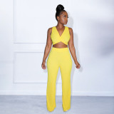 Summer pleated light sexy v-neck navel two-piece suit