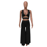 Summer Sexy Bundling Pleated Wide Leg Pants Two Piece