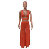 Summer Sexy Bundling Pleated Wide Leg Pants Two Piece
