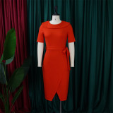 Solid Color Professional Office Dress