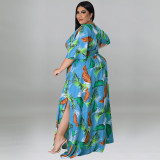 Summer 2022 Plus Size Deep V Neck Print Multicolor Dress