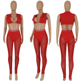 Summer sexy slim solid color top + net  yarn  pants two-piece set