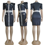 panelled button waist dress