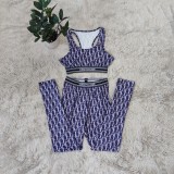 Fashion sports Vest + trousers casual two-piece set