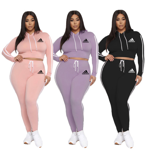 Large size quality women's autumn and winter new sports and leisure suit Two pieces