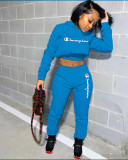 Hoodie two piece casual sports suit